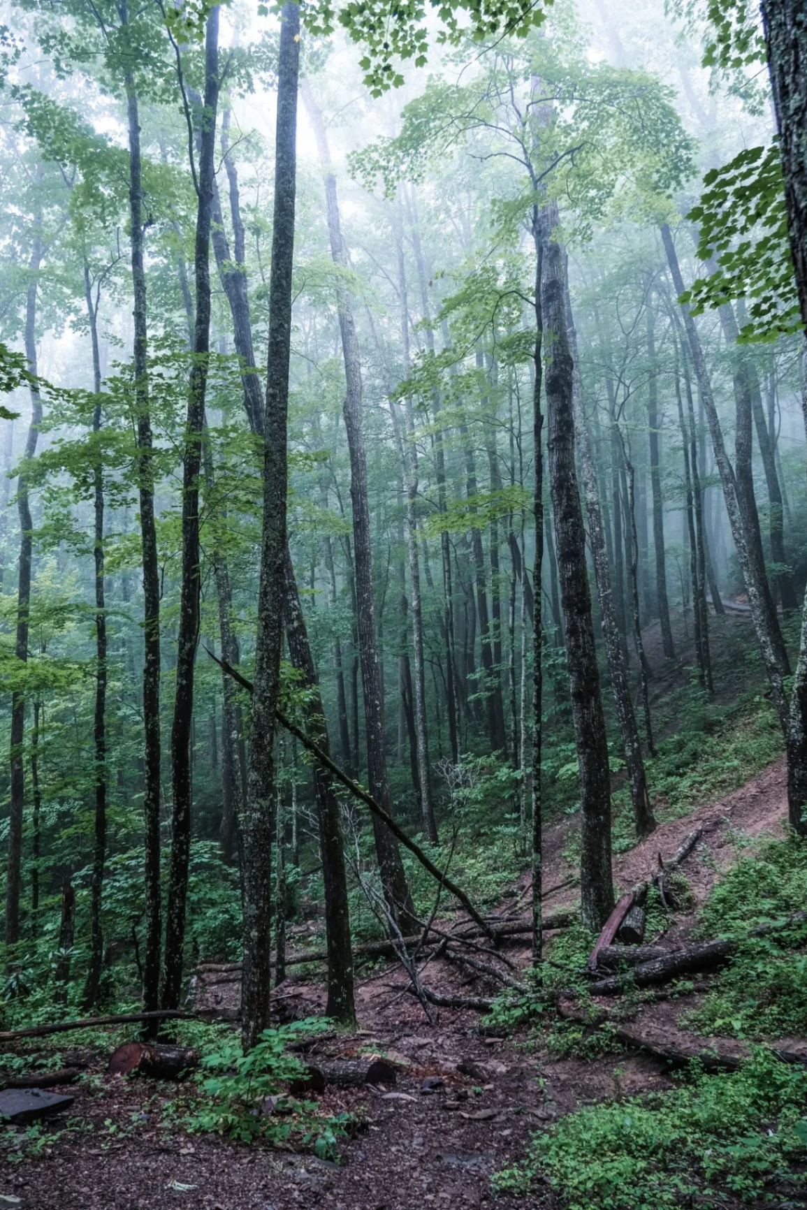 Waterfall in the Cherokee National Forest